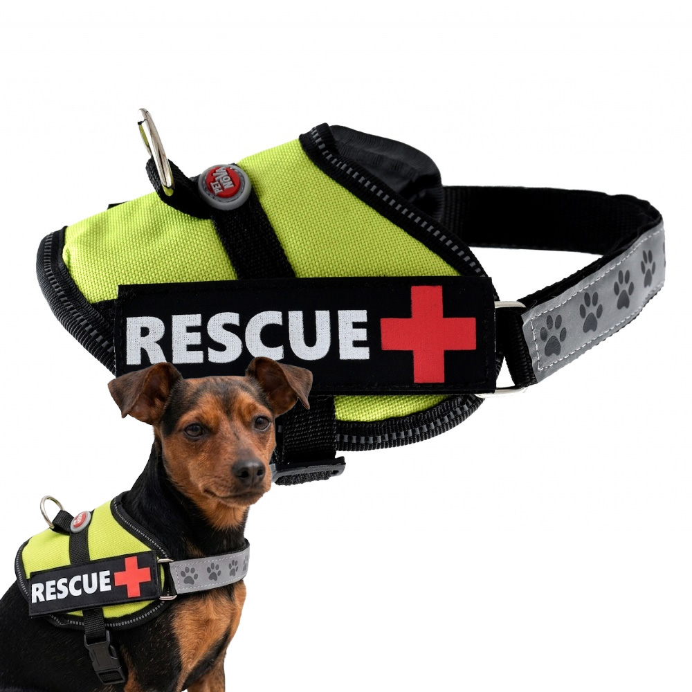 PetNova Szelki dla psa Norweskie RESCUE XS Regulowane Pinczer York